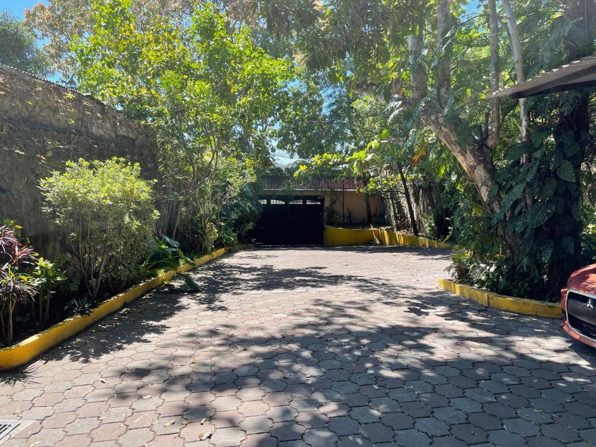Villa Las Flores サンサルバドル エクステリア 写真