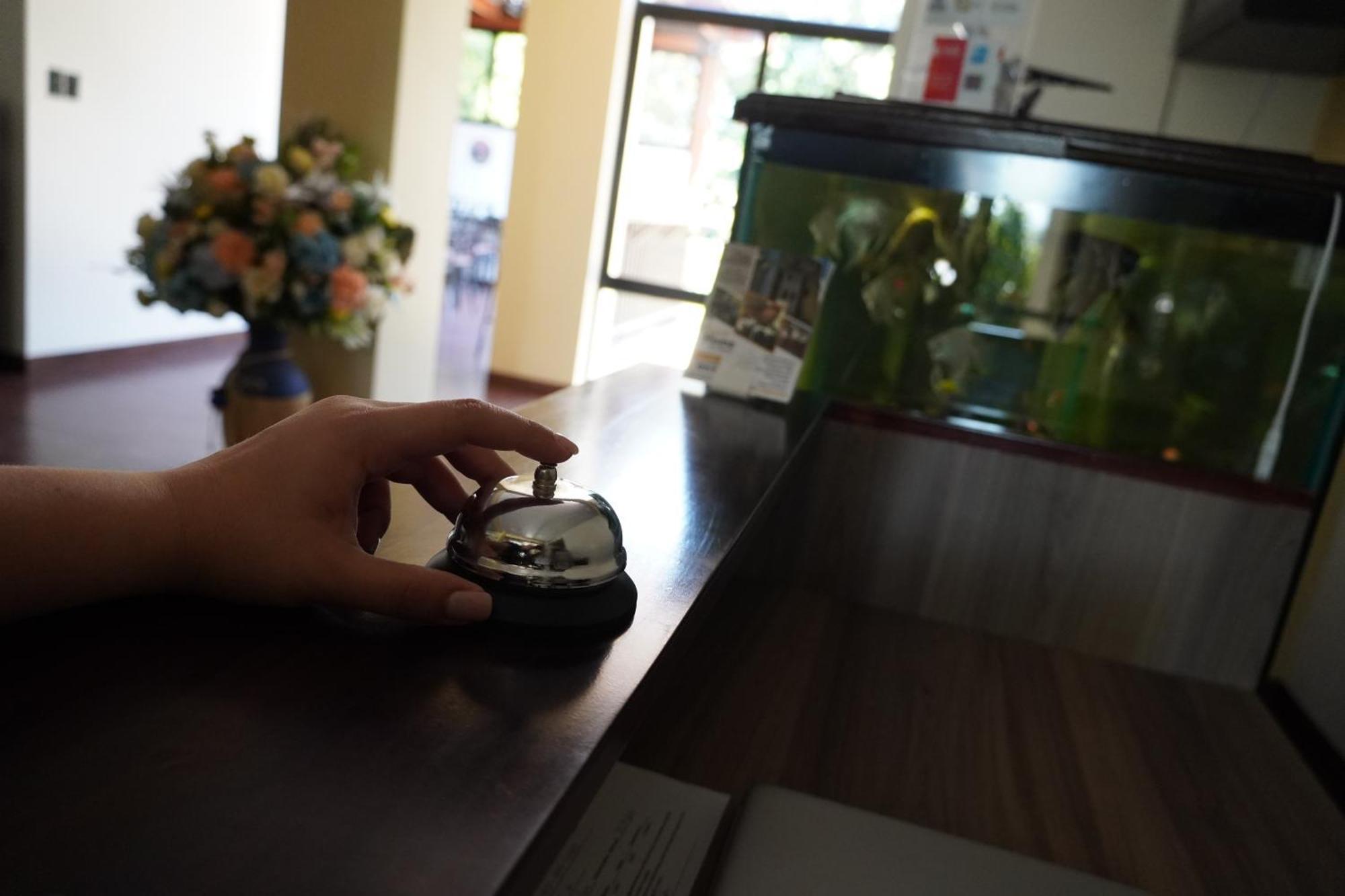 Villa Las Flores サンサルバドル エクステリア 写真