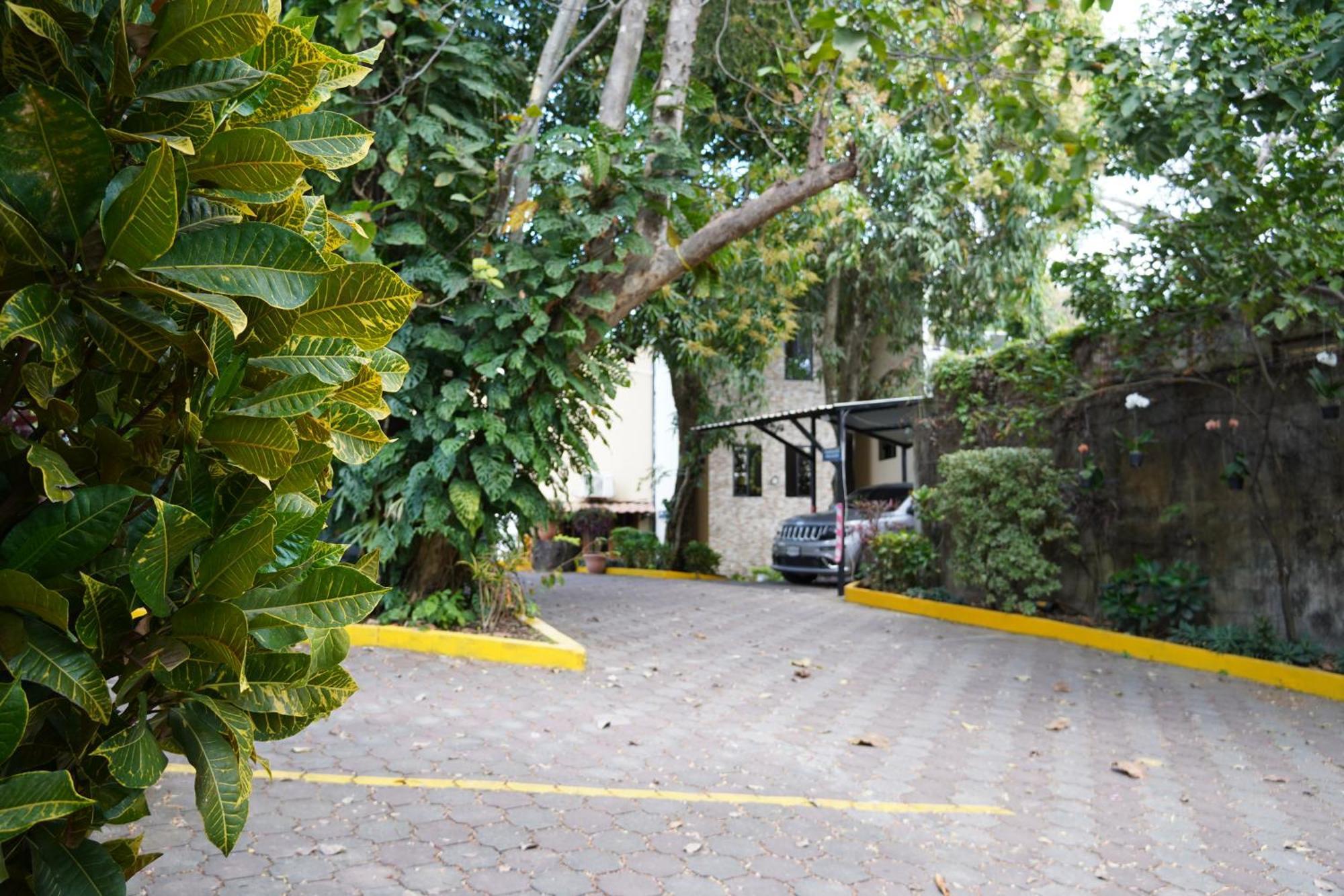 Villa Las Flores サンサルバドル エクステリア 写真
